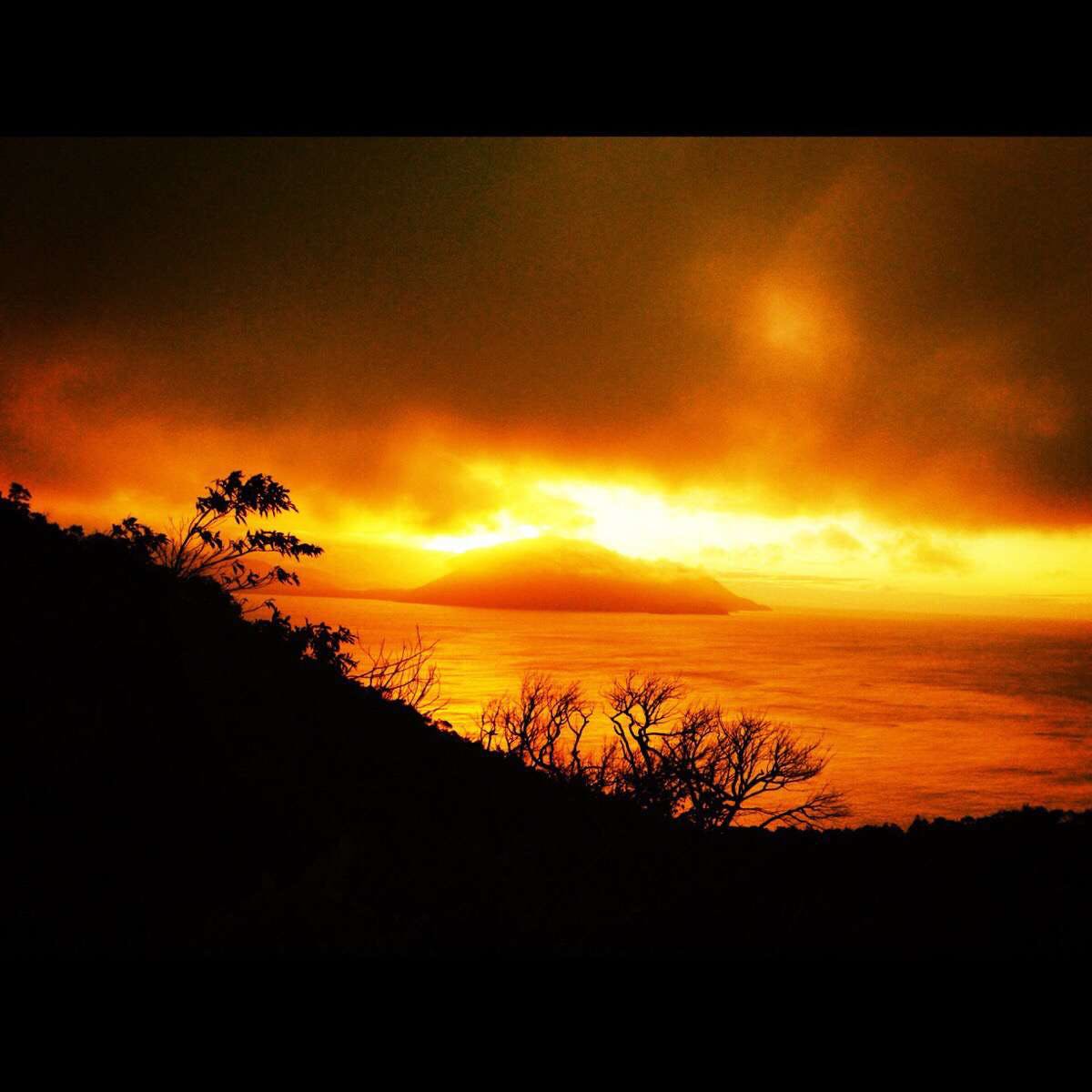 Amber QLD Sunshine Coast Guide