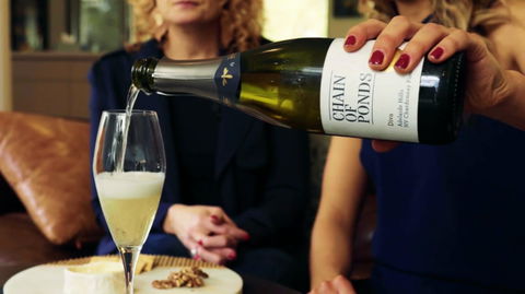 Adelaide Hills-Billies Cheese & Wine Tasting - Sunshine Coast Guide 2
