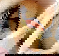 Post Office Cafe - Sunshine Coast Guide