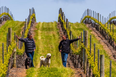 Tim Adams Wines - Sunshine Coast Guide 2