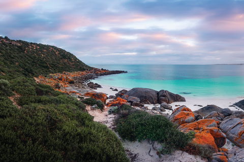 Marion Bay Tavern - Sunshine Coast Guide 0