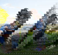 Sunhill Dairy Goats and Sunhill Skin Essentials - Sunshine Coast Guide