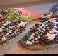 Lambs - Sunshine Coast Guide