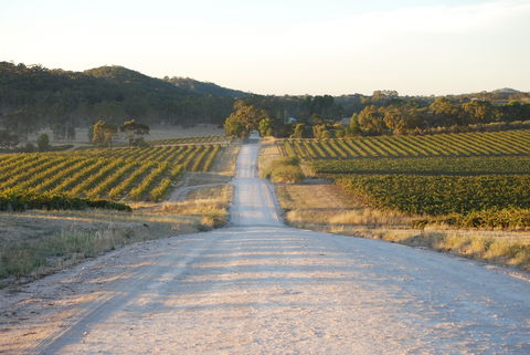 Stone Bridge Wines - Sunshine Coast Guide 0