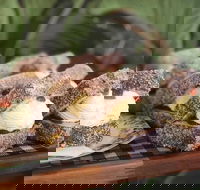 Bridge 2 Eden - Sunshine Coast Guide