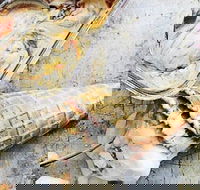 Fritz Gelato - Richmond - Sunshine Coast Guide