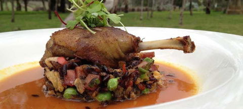 Woodstock Coterie Estate - Sunshine Coast Guide 2