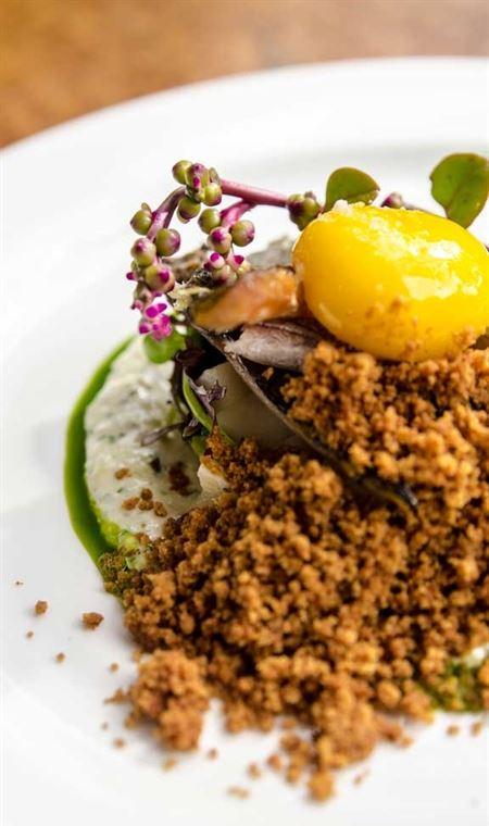 Woodstock Coterie Estate - Sunshine Coast Guide 4