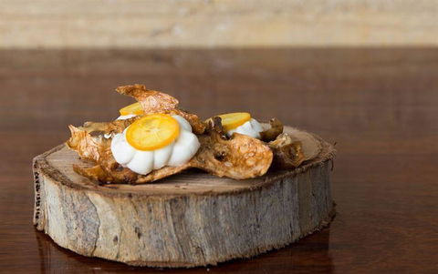 Woodstock Coterie Estate - Sunshine Coast Guide 6