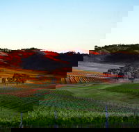 Dalwhinnie Wines - Sunshine Coast Guide