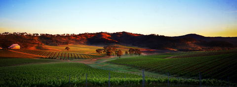 Dalwhinnie Wines - Sunshine Coast Guide 0