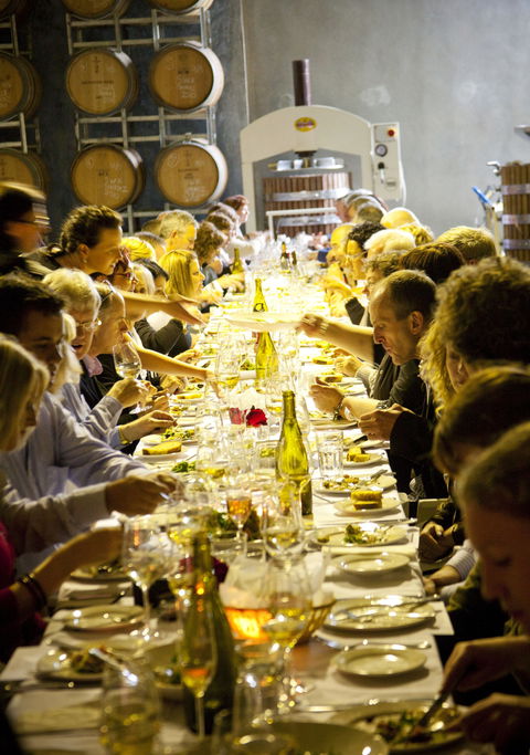 Dalwhinnie Wines - Sunshine Coast Guide 2
