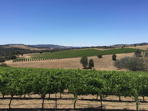 Peerick Vineyard And Winery - Sunshine Coast Guide 0