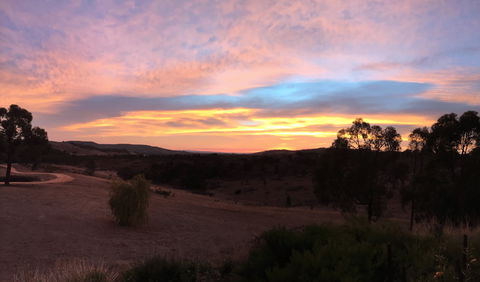 Peerick Vineyard And Winery - Sunshine Coast Guide 1