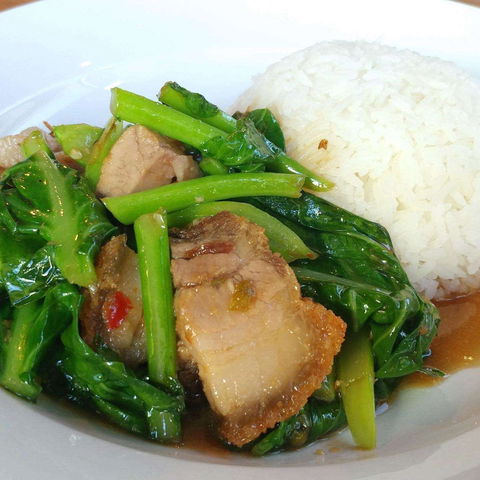 Wokks - Sunshine Coast Guide 0