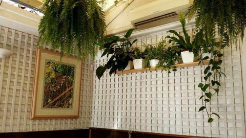Plane Tree Cafe - Sunshine Coast Guide 0