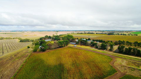Pettavel Wines - Sunshine Coast Guide 0