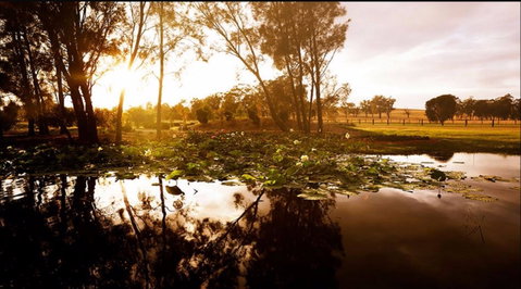 Hunter's Dream - Sunshine Coast Guide 2