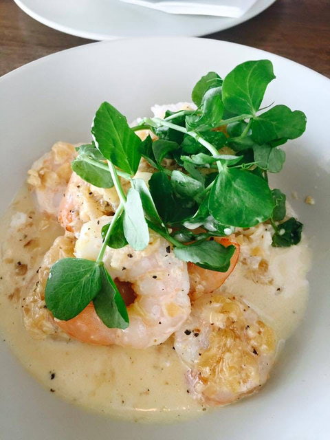 Forage Food Store - Sunshine Coast Guide 0