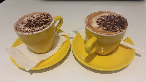 Royal Donuts - Sunshine Coast Guide 0