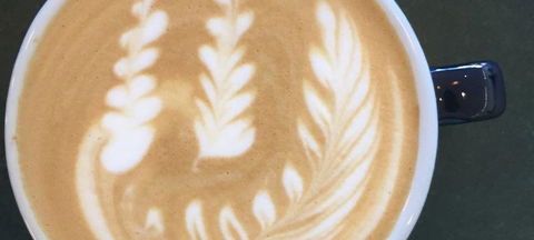 ACMI Cafe & Bar - Sunshine Coast Guide 7