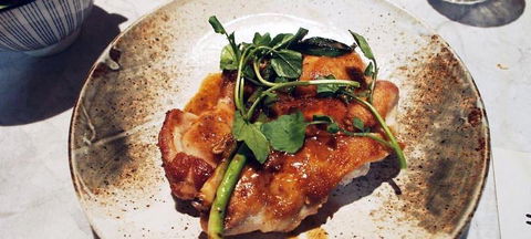 Allegra Dining - Sunshine Coast Guide 6