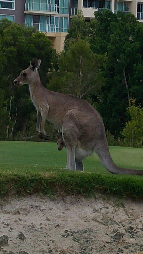 T On Course - Sunshine Coast Guide 3