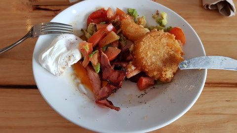 Coffee Journey - Sunshine Coast Guide 0