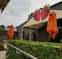 Green Valley Strawberries - Sunshine Coast Guide