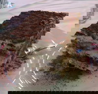 La Trattoria - Sunshine Coast Guide