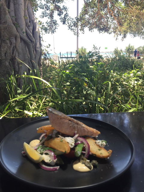 Scoopys Ice Creamery & Sidewalk Cafe - Sunshine Coast Guide 1