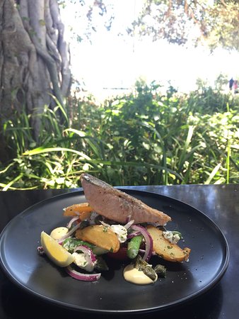 Scoopys Ice Creamery & Sidewalk Cafe - Sunshine Coast Guide 0