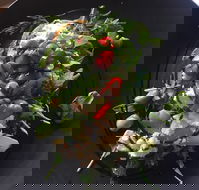 8days Cafe - Sunshine Coast Guide