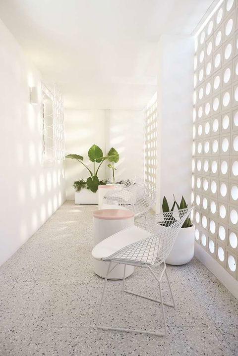 Adina Apartment Hotel Chippendale - Sunshine Coast Guide 3