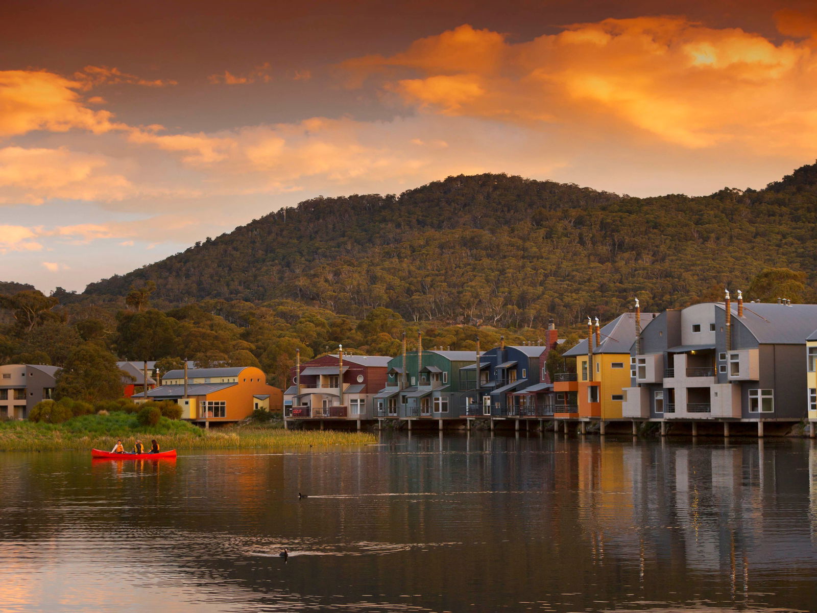Adelong NSW Sunshine Coast Guide