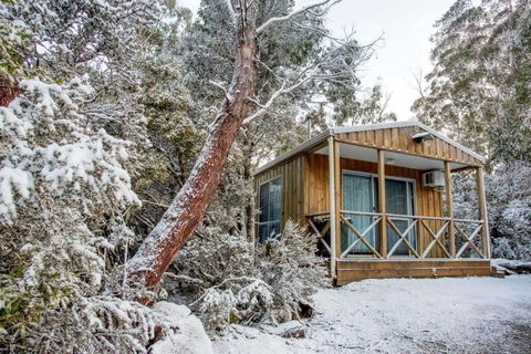 Discovery Parks Cradle Mountain - Sunshine Coast Guide 2