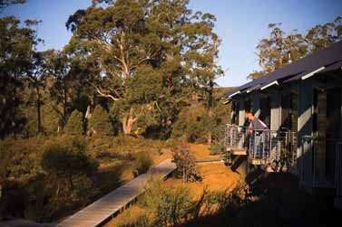 Cradle Mountain Wilderness Village - Sunshine Coast Guide 2