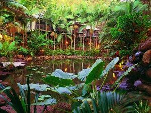 Daintree Eco Lodge & Spa - Sunshine Coast Guide 0
