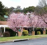White Lanterns Motel - Sunshine Coast Guide