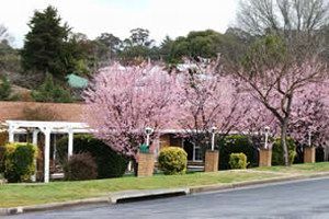 White Lanterns Motel - Sunshine Coast Guide 0