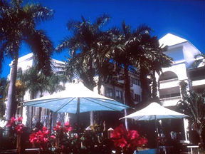 Alamanda Palm Cove - Sunshine Coast Guide 1