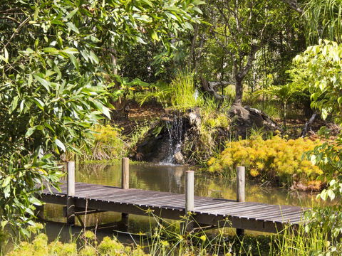 Cedar Park Rainforest Resort - Sunshine Coast Guide 0