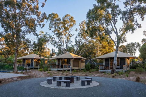 Discovery Parks Barossa Valley - Sunshine Coast Guide 0