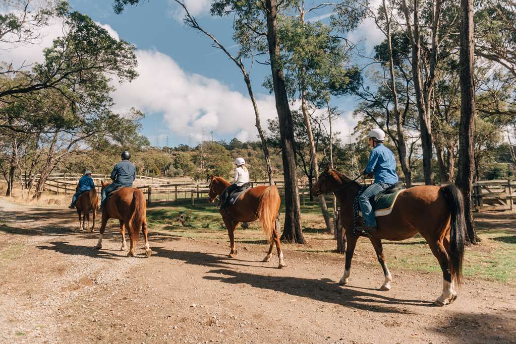  Sunshine Coast Guide