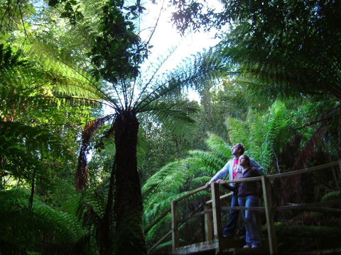 Huon Bush Retreats - Sunshine Coast Guide 1