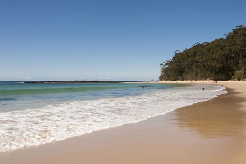 Mollymook Beachfront Penthouse 9 - Sunshine Coast Guide 0