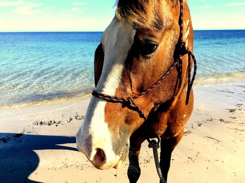 Lure Bed And Breakfast - Sunshine Coast Guide 15