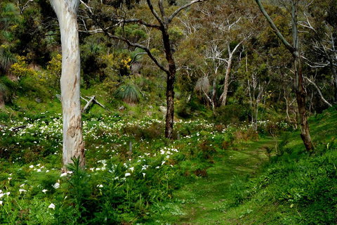 Lure Bed And Breakfast - Sunshine Coast Guide 17