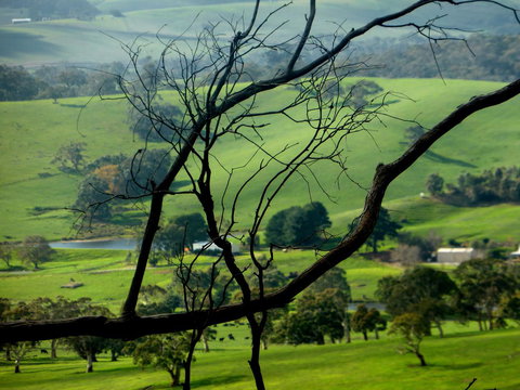 Lure Bed And Breakfast - Sunshine Coast Guide 21