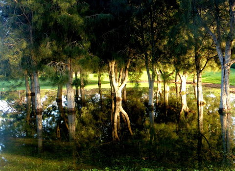 Lure Bed And Breakfast - Sunshine Coast Guide 18